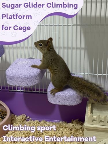 Lava Ledges for Rats 6 Pack Hamster Climbing Ledge Platform Pumice Ledge Shelf Pet Chewing Grinding Toys Small Animals Cage Accessories for Mouse Guinea Pig Gerbil Purple