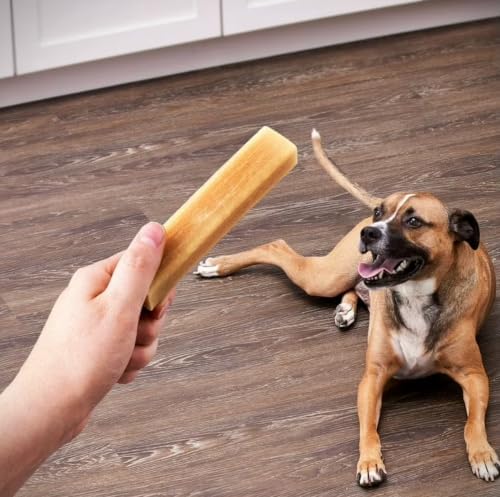 Ol Roy Munchy Bones Dog Treats, Peanut Butter Flavor, No Artificial Flavors or Colors, 60 oz, 21 Count with Bone Waste Bag Dispenser and Roll