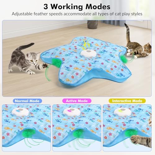 Hide-and-Seek Cat Toy Interactive, Rotating, Blue