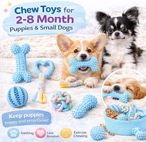 Puppy Chew Toys, 6 Pack Puppy Teething Toys for Small Breed, Soft Rubber Cute Blue Dog Toys, Eco-Friendly, Teeth Cleaning Interactive Tiny Puppy Toys for Small Dog (Basket not Included)