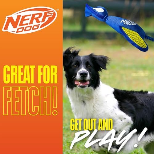 Nerf Dog Large Nylon Launching Duck/Blue/Green