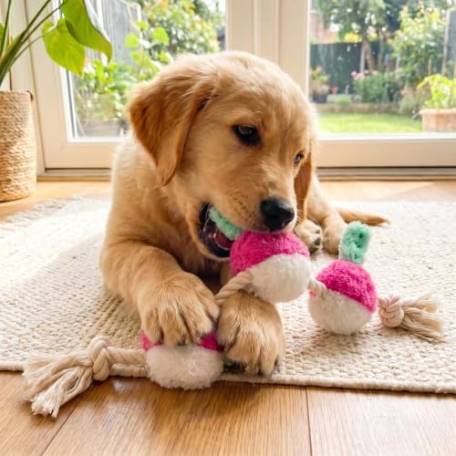 Purple Radish Dog Rope Toy, Squeaky Plush Tug for Small Medium Dogs