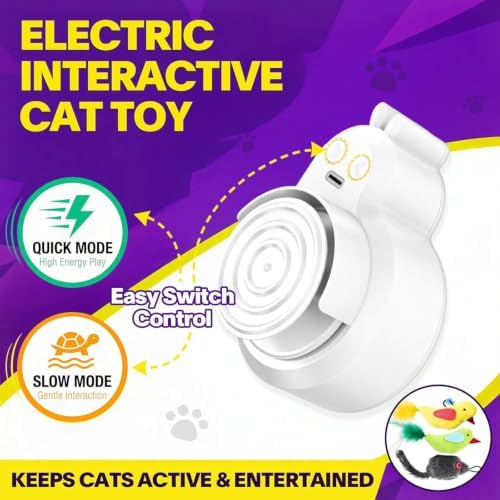 Automatic Interactive Cat Toys, Door Flying Feather Bird & Mouse for Kitten