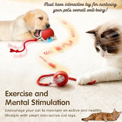 Interactive Electric Automatic Rolling Moving Rechargeable Self Play Stimulation Toy,Smart Pet Chase Ball with Speedy Tail Rope for Bored Indoor Cats enrichment,stimulating Dogs toy Small dogs (Red)