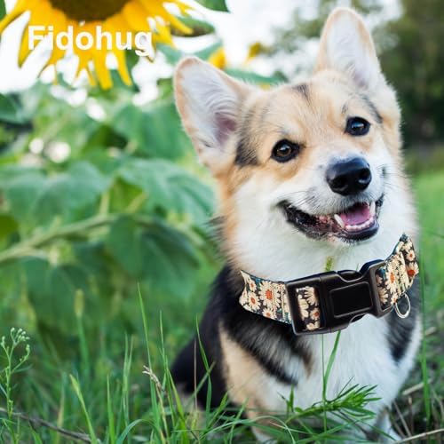 Martingale Collar for Dogs Flower Dog Collar with Quick Release Buckle Adjustable Nylon Soft Dog Collars for Small Dogs, Daisy
