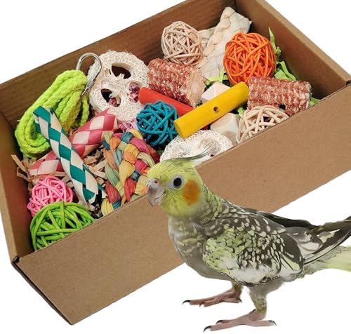 Bird Toys，Colorful Parrot Foraging and Tearing Toy Box