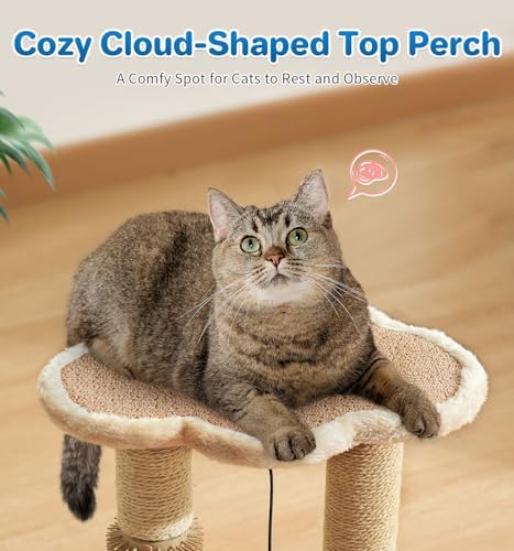 Made4Pets Kitten Toy Scratching Post with Self Groomer for Indoor Cats