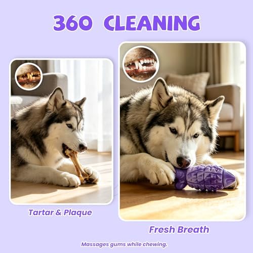 YINEYA Dog Toys for Aggressive Chewers, Tough Squeaker Dog Toys, Purple