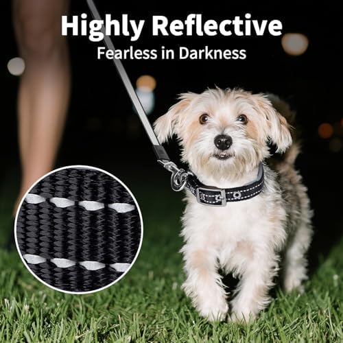 Segarty Reflective Small Dog Collar for Male Dogs Neck 10.8-14in, Adjustable Wide Soft Comfortable Breathable Neoprene Padded Nylon Collar Heavy Duty Metal Buckle for Puppy Small Breeds (S, Black)