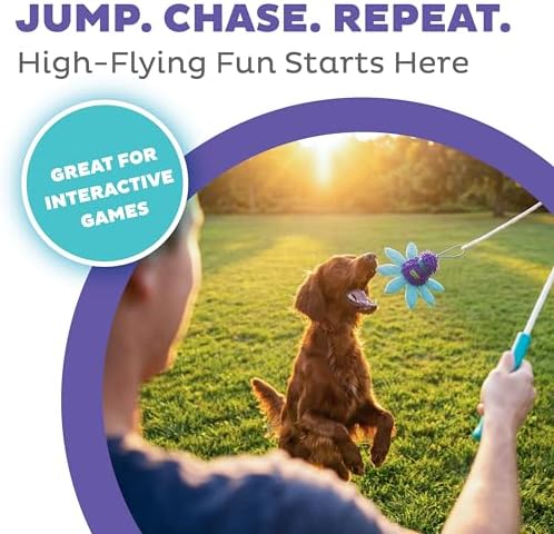 Outward Hound FlyFetch Teaser Wand Dog Toy with Crinkle Attachment, Durable for Indoor & Outdoor Play, All Breeds, 17.7"