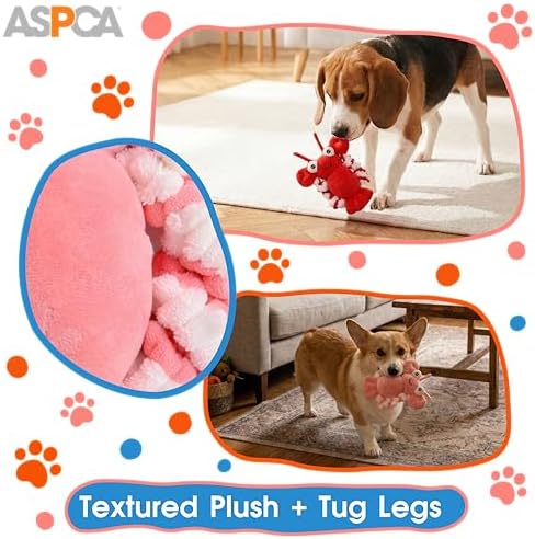 ASPCA 2 Pack Plush Dog Toy with Squeaker for Small & Medium Dogs, Soft Durable Stuffed Pet Toy for Fetch, Tug & Cuddle, Interactive, Lightweight, Engaging Play Toy for Dogs