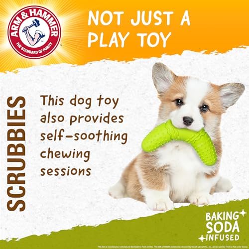 Arm & Hammer Scrubbies Boomerang Dental Chew Toy, Puppy, Large, 7 in