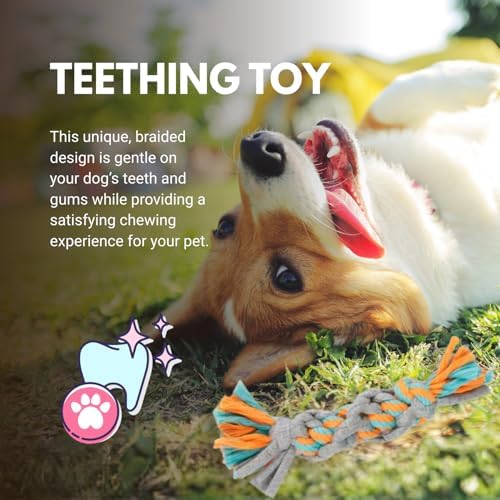 Consumable Corner - Sweater Rope Dog Toy - Braided Tug & Chew Toy