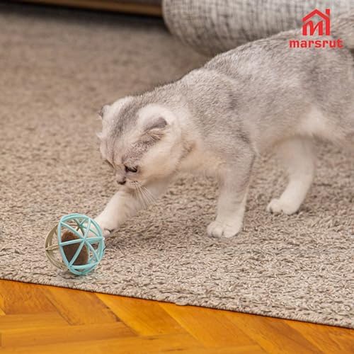 Squeaky Mouse Ball Cat Toy with Simulated Sound, 4.3in Mouse Ball Cage, Squeky Balls for Cats to Play With Indoor, Interactive Plastic Squeak Funny Toys Best for Playing Chasing Chewing Training