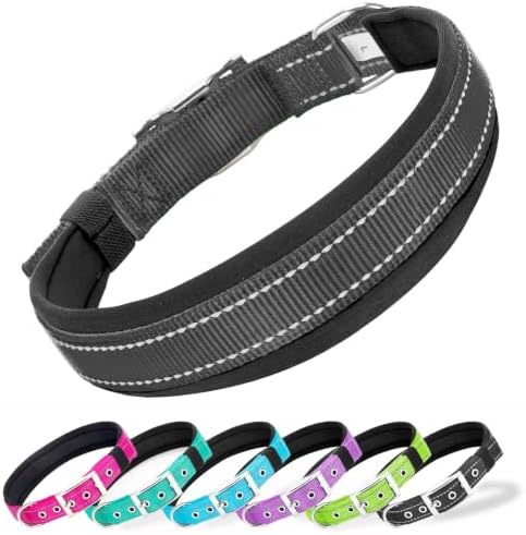 Reflective Dog Collar for XLarge Dogs Wide Padding 6 Holes Adjusta