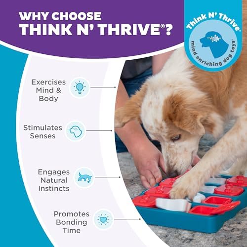 Outward Hound Nina Ottosson Dog Brick Dog Toy Treat Puzzle, 12.8"