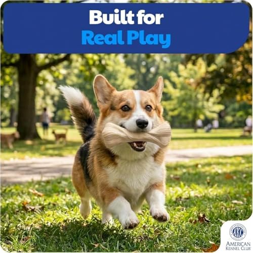 American Kennel Club Training Dog Chew Toy, Large PP Bone Dog Toy, Durable Dog Toy for Moderate Chewers, Beef Scented for Long-Lasting Engagement, Supports Dental Health, White