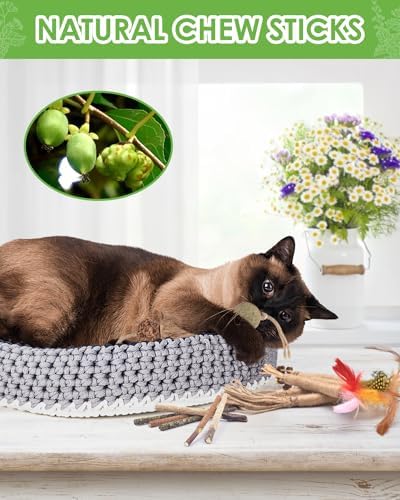 TINDTOP Silvervine Chew Sticks for Cats, 12 Pack Natural Catnip Toys