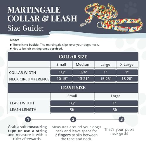 Lucky Love Dog Martingale Collar & Leash Set No Slip Cute – Oscar, Small