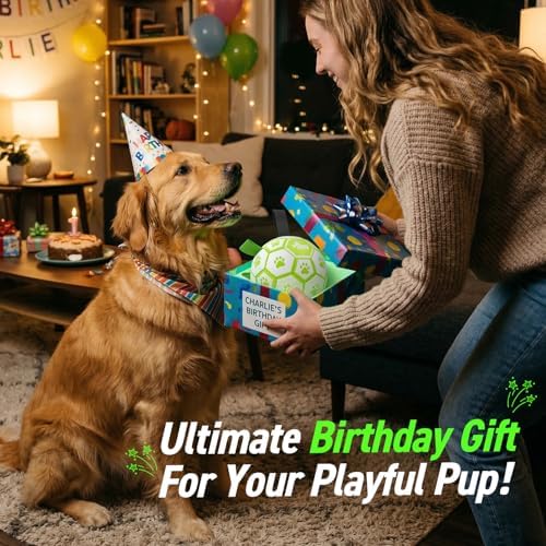 QDAN Glow in The Dark Dog Toys, Dog Soccer Ball with Straps, Night Play Fun | Light Up Dog Balls for Large Dogs, Interactive Training Dog Tug Toys for Tug of War, 8 Inch, 30-90 lbs Puppy Ball, Dog Gifts