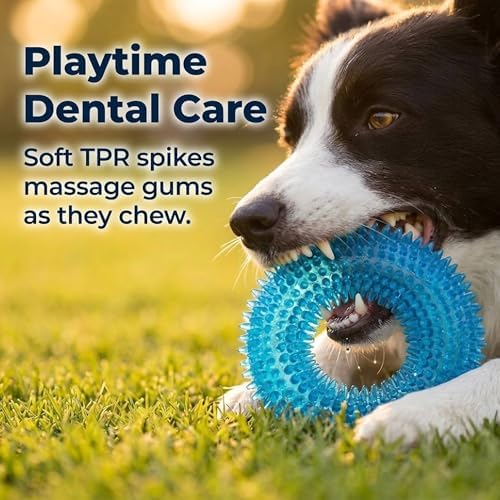 Squeaky Dog Toys for Aggressive Chewers, Floating Donut Ring for Large Dogs