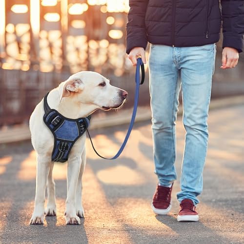 BUMBIN Dog Harness for Large Dogs, No Pull Adjustable No Choke Pet Vest with Dog Leash Fit Smart Reflective Pet Walking Harness for Training Easy Control Soft Handle Denim Blue XL