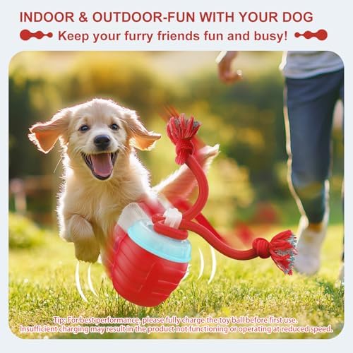 Interactive Dog Toy, [Newly Upgraded] Motion Activated Rolling Ball for Small Dogs, Automatic Moving Dogs Ball for Boredom, USB Rechargeable(Red)