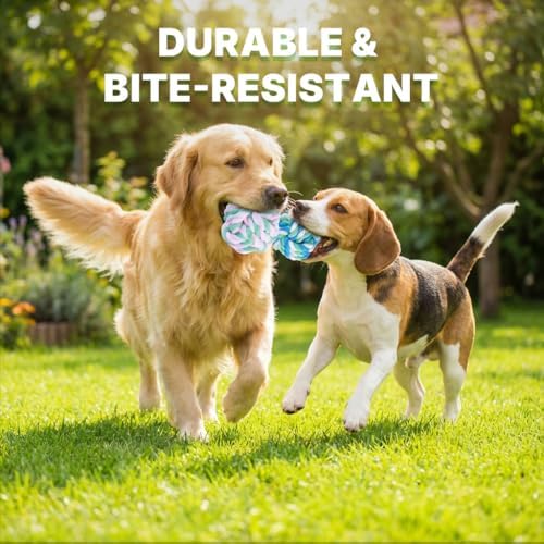 Dog Ball, Braided Dog Rope Ball, Dog Toys for Aggressive Chewers, 2 Packs