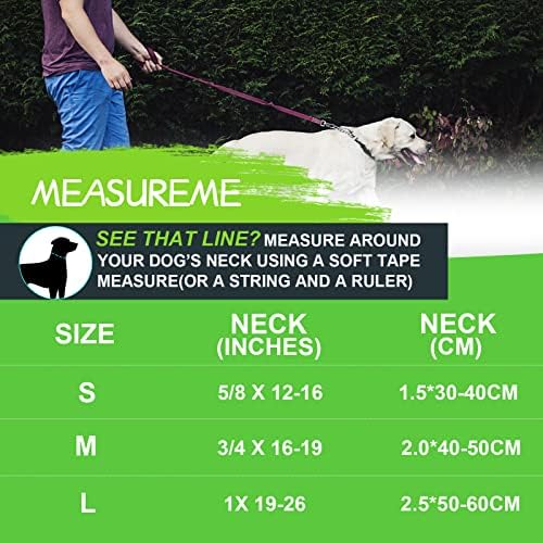 Personalized Martingale Dog Collar-Reflective Martingale Collars with Buckle, Custom Training Martingale Dog Collars Embroidered with Name and Phone Number for Small Medium Large Dogs