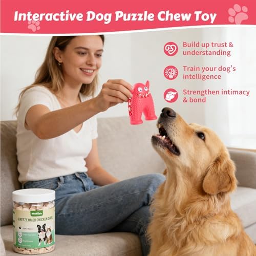 Dog Chew Toys Floating Squeaky Toy for Puppy