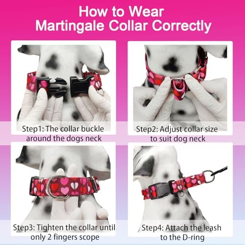 Valentines Martingale Dog Collar Pink Burgundy Heart Love, Large