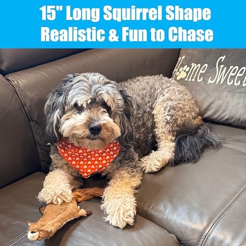 SPOT Skinneeez Plus Squirrel - Stuffing Free Dog Toy with Two Piece Rubber Body and Two Squeakers, Fun to Bite, Stuffingless Design is Great for Moderate Chewers, Tug Toy for Puppies & Dogs - 15in
