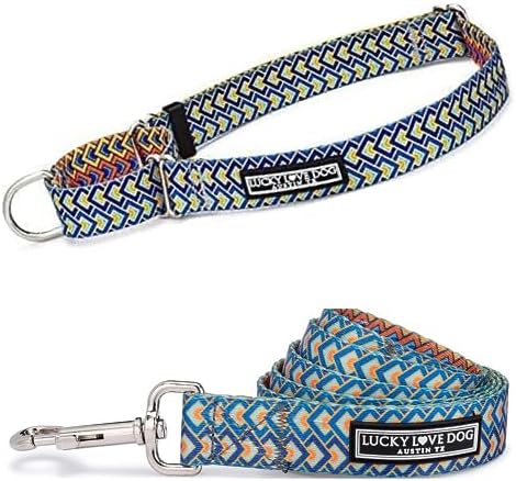 Lucky Love Dog Martingale Collar & Leash Set No Slip Cute – Murphy, Large