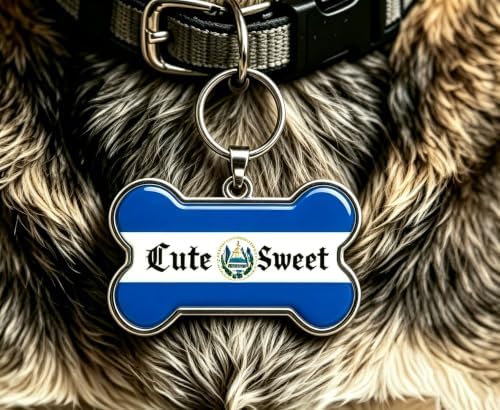HSIAHOU Custom Pet ID Tags, Personalized Dog Tag Cat Tag (Salvador)