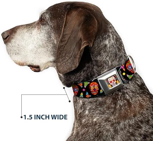 Buckle-Down Dog Collar Seatbelt Buckle Colorful Calaveras Black Multi Color 15 to 26 Inches 1.0 Inch Wide (DC-WTY004-L)