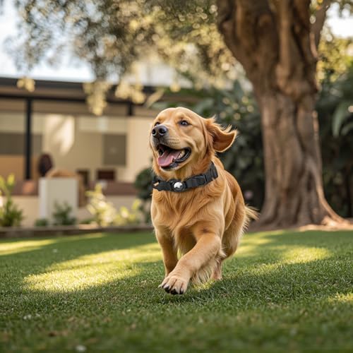 Upgraded Airtag Dog Collar Waterproof, Adjustable GPS Training Nylon