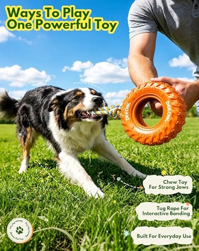 Dog Chew Tire Toy, Tether Natural Rubber Puppy Teething Toy-6.3'' Orange