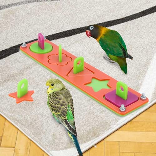 Hypeety Bird Intelligence Training Toys Parrot Learning Block Puzzles