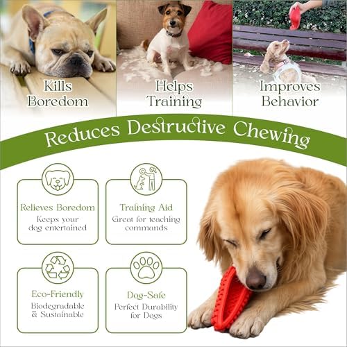 Treat Dispensing Chew Shoe Interactive Puzzle Toys - Dog Chew Enrichment Toys for Aggressive Chewers, Boredom Relief and Brain Stimulating Game Keeps Small Medium Dogs Engaged