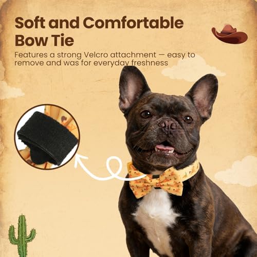 Brindle French Bulldog Polyester Dog Collar and Leash Set with Bowtie, Smart & Safe Design, Includes 1 ID Tag + 3 Frenchie Dog Tags for Instant Location & 2 Sticker Sheets,Gift Set,M