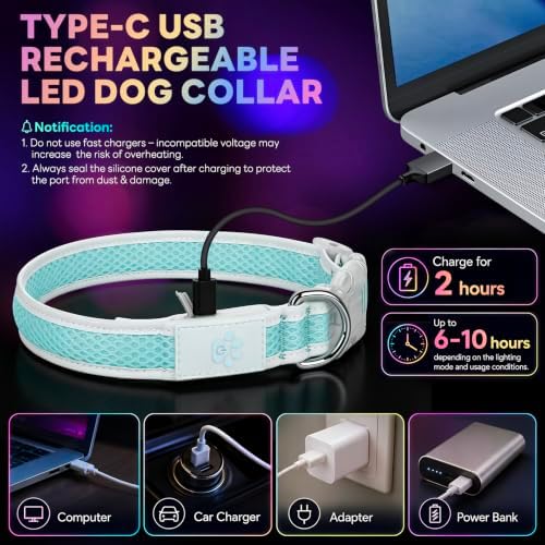 Multicolor LED Dog Collar USB-C Rechargeable, Light Up Dog Collar, Rainbow Gradient Glowing Dog Collar with 4 Light Modes, Adjustable Candy Mesh Pet Collar(Blue, Large)