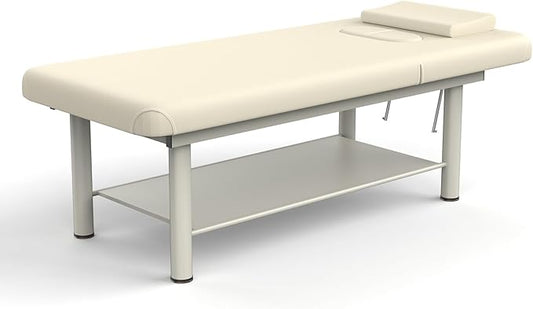 Heavy Duty Professional Stationary Massage Bed Wide Stationary Massage Table with Backrest for Treatment Table Physical Therapy Table Spa Facial Bed, Metal Frame PU Leather (Integral Structure)