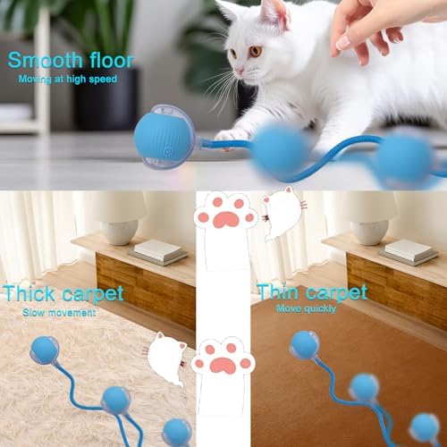 Interactive Cat Dog Toy Ball with LED Light, Automatic Rolling(Blue)