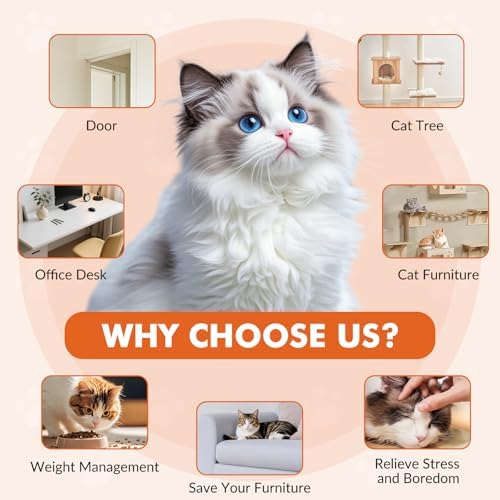 Wortade Automatic Hanging Cat Toy, Interactive Electric cat Teaser, Orange