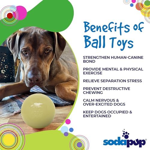 SodaPup Squeaker Ball – Durable Dog Ball Toy, Chew Toy & Floating Retrieving Toy with Squeaker Made in USA from Non-Toxic, Pet-Safe, Food Safe Rubber Material for Bonding, Physical Exercise, & More