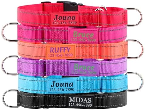 Personalized Martingale Collar for Dogs with Name and Phone Number