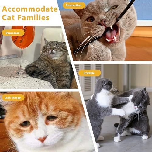 3 Pack Catnip Toys,Soft and Durable Cat Pillows Toys, Funny cat Toy