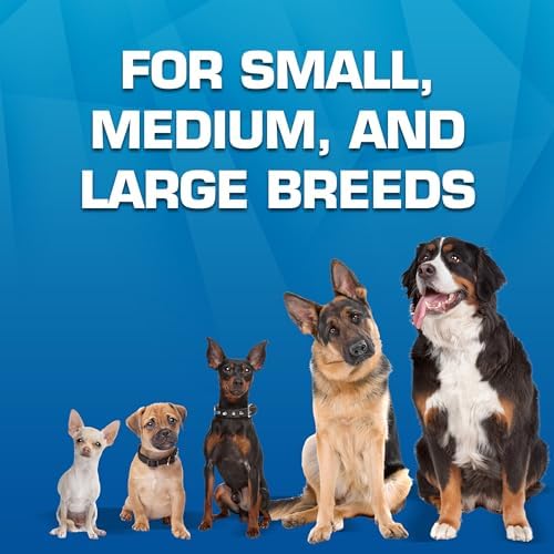 Nerf Dog Toy Gift Set, 3-Piece Set of Outdoor Dog Toys for Fetch, Includes Checker Crunch Ball, Spike LED Squeak Ball and Tire Squeak Football