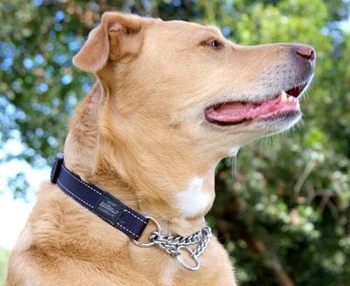 Reflective Nylon Choke Collar; Slip Show Obedience Training Gentle Choker for Large Dogs, Black