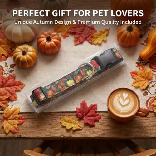 Fall Dog Collar, Dog Collar for Large Dogs, L